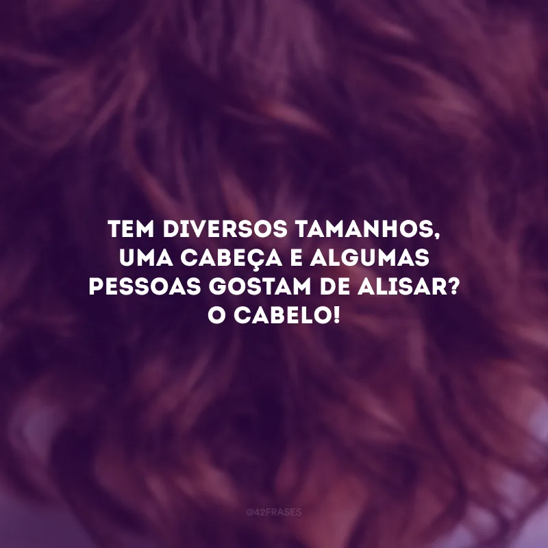 Tem diversos tamanhos, uma cabeça e algumas pessoas gostam de alisar? O cabelo! 