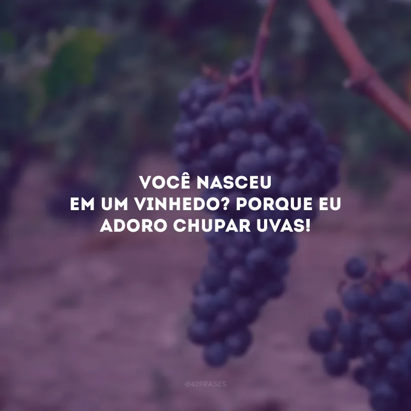 Você nasceu em um vinhedo? Porque eu adoro chupar uvas! 
